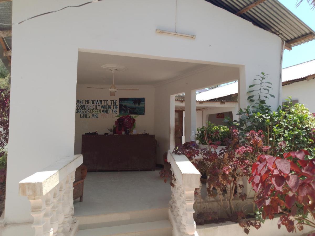 H & H Bungalows Nungwi Bagian luar foto