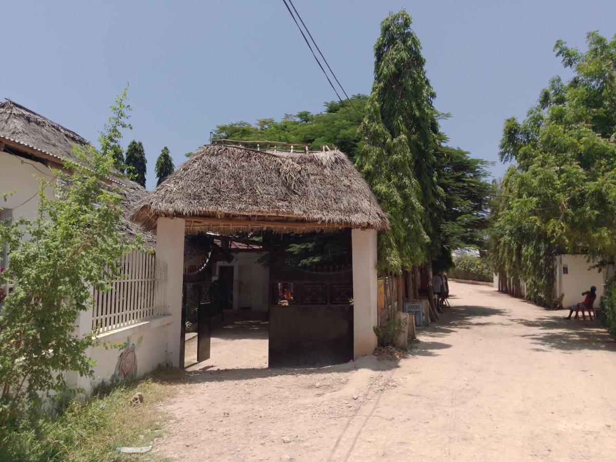 H & H Bungalows Nungwi Bagian luar foto