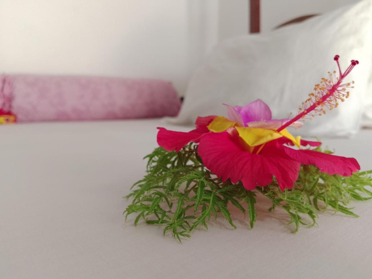 H & H Bungalows Nungwi Bagian luar foto