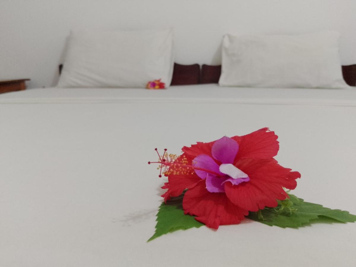 H & H Bungalows Nungwi Bagian luar foto
